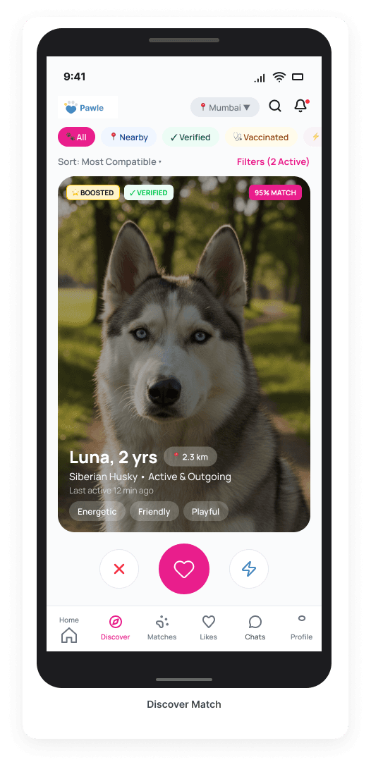 Pawle app — Discover Match screen