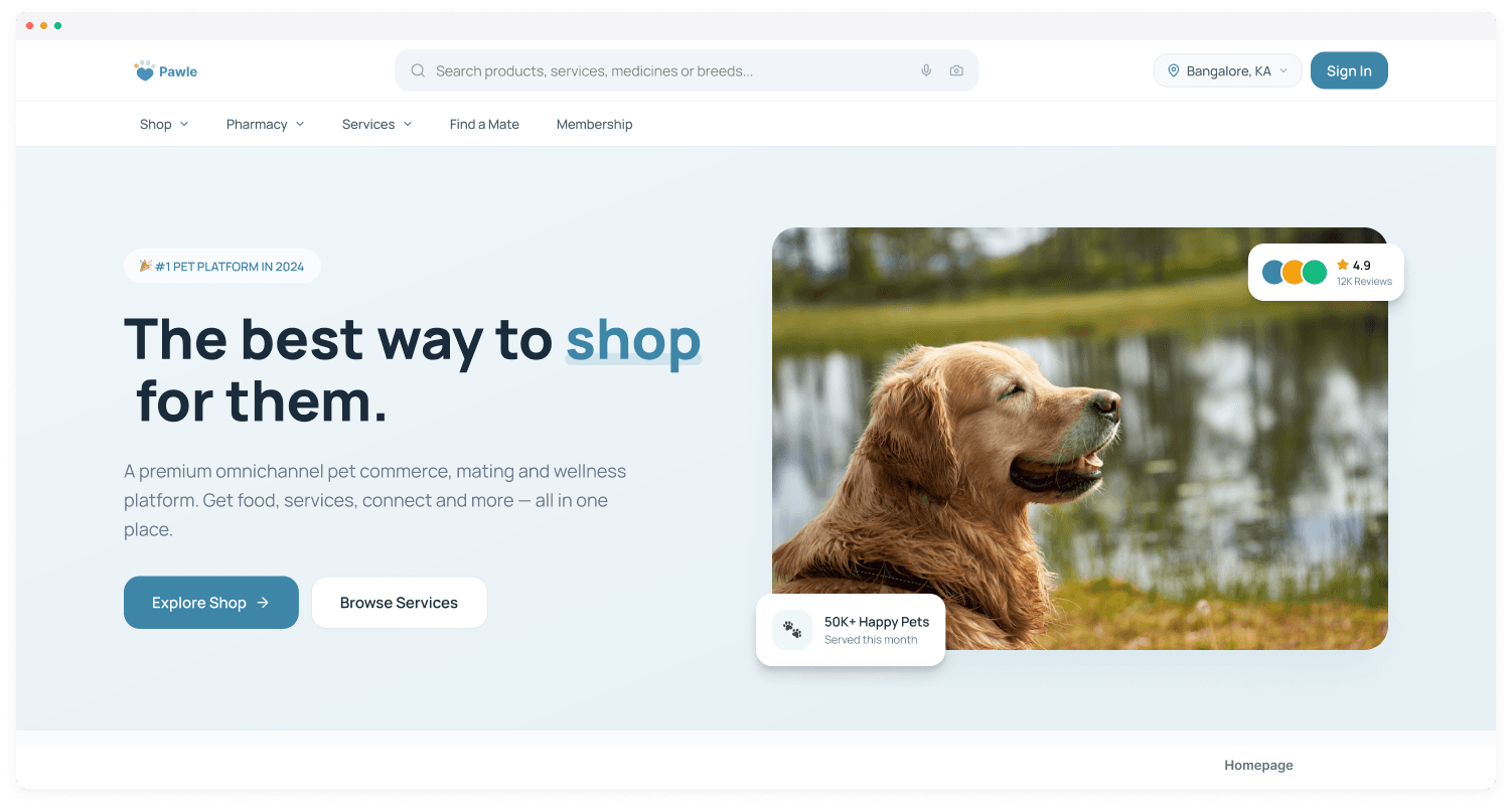 Pawle web — Homepage